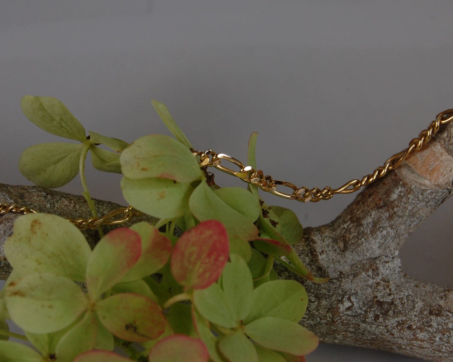 figaro armband goud